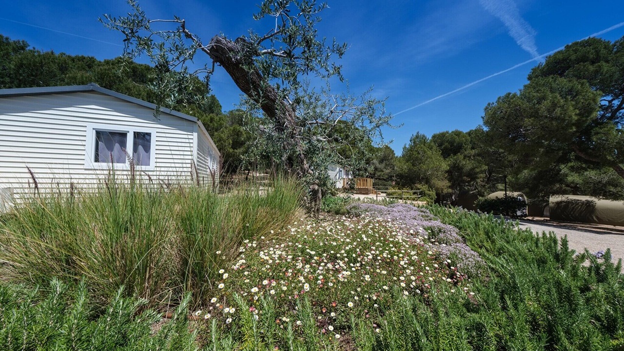 Photo of Outdoor in Tamarit