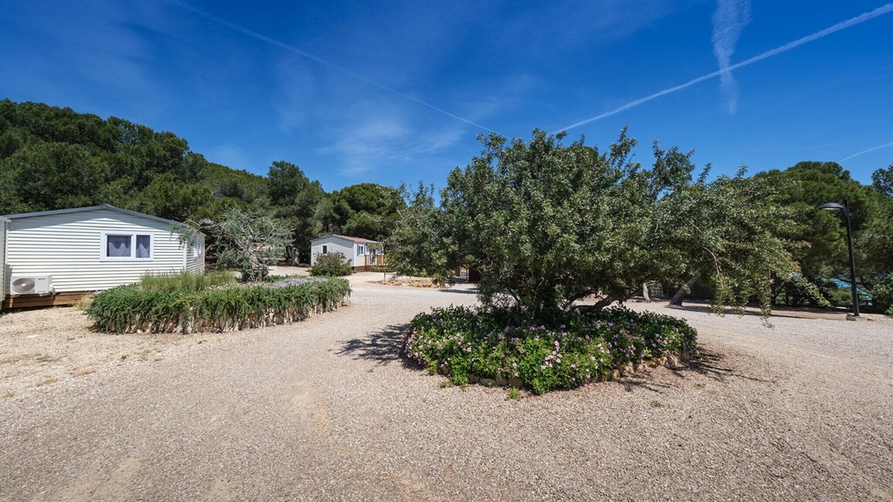 Photo of Outdoor in Tamarit