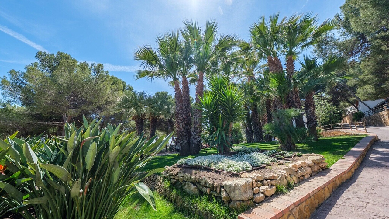 Photo of Outdoor in Tamarit