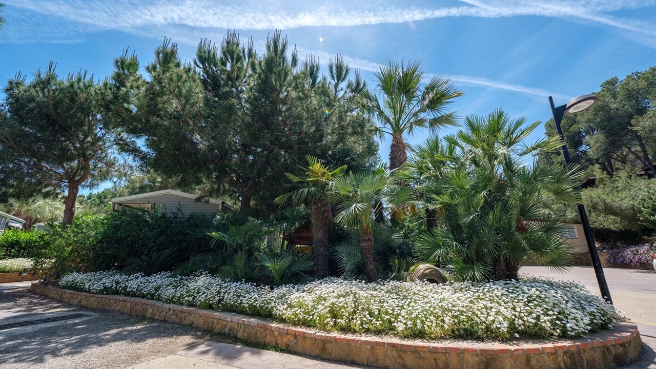 Photo of Outdoor in Tamarit
