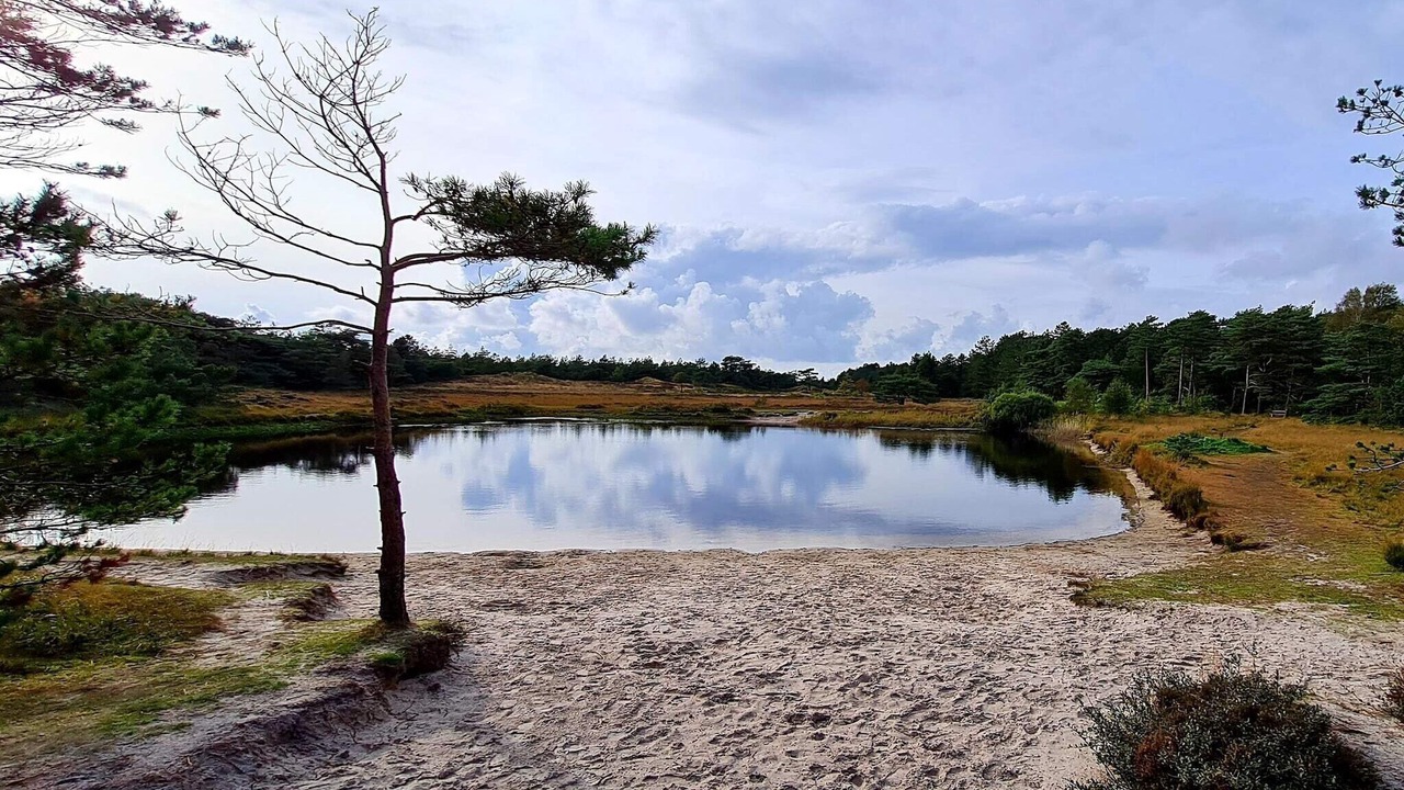 Photo of Others in Kongsmark