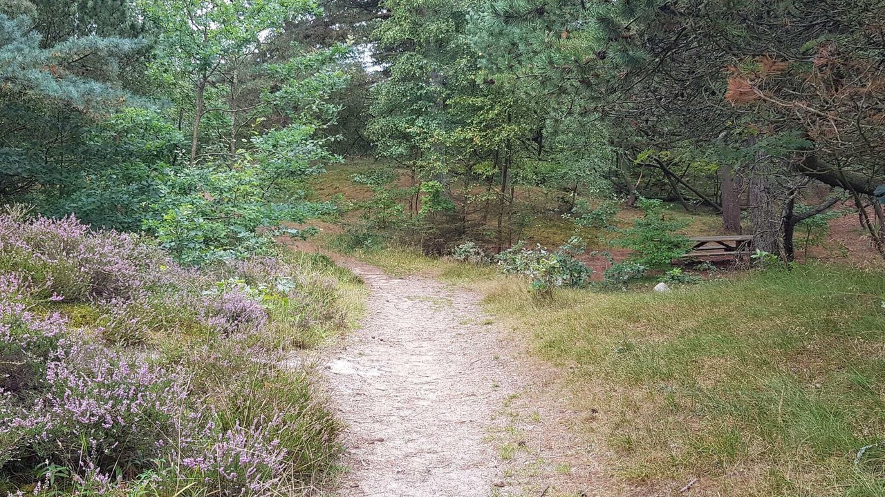 Photo of Outdoor in Kongsmark