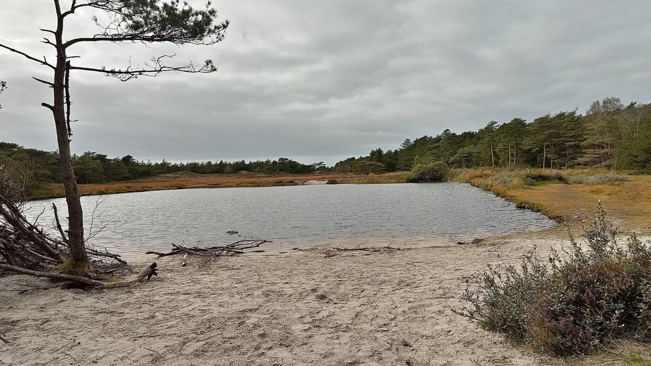 Photo of Others in Kongsmark