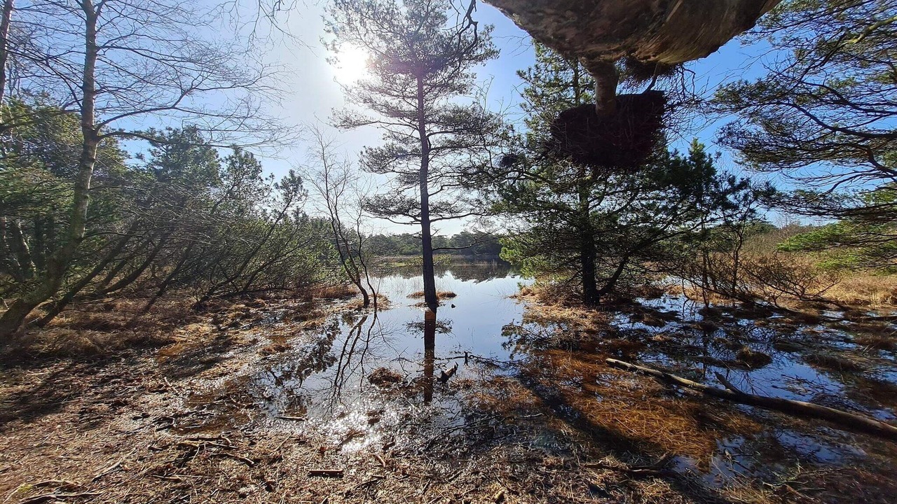 Photo of Others in Kongsmark