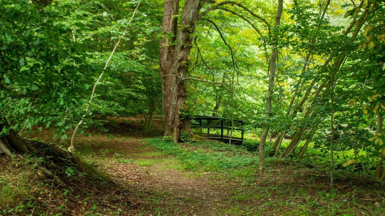 Photo of Outdoor in Ronbjerg