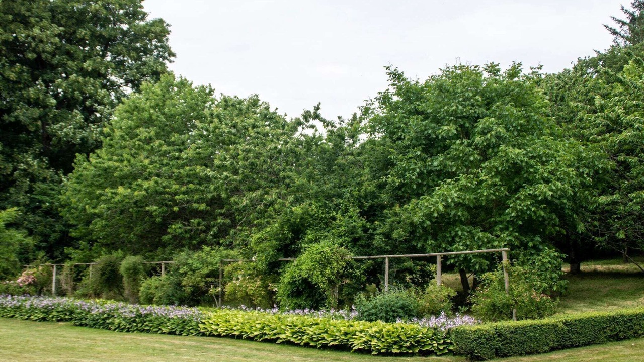 Photo of Outdoor in Ronbjerg