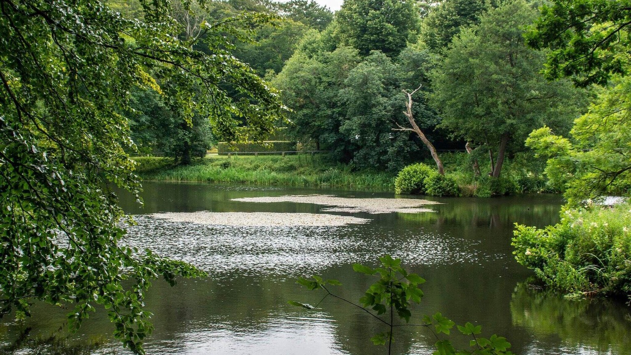 Photo of Others in Ronbjerg