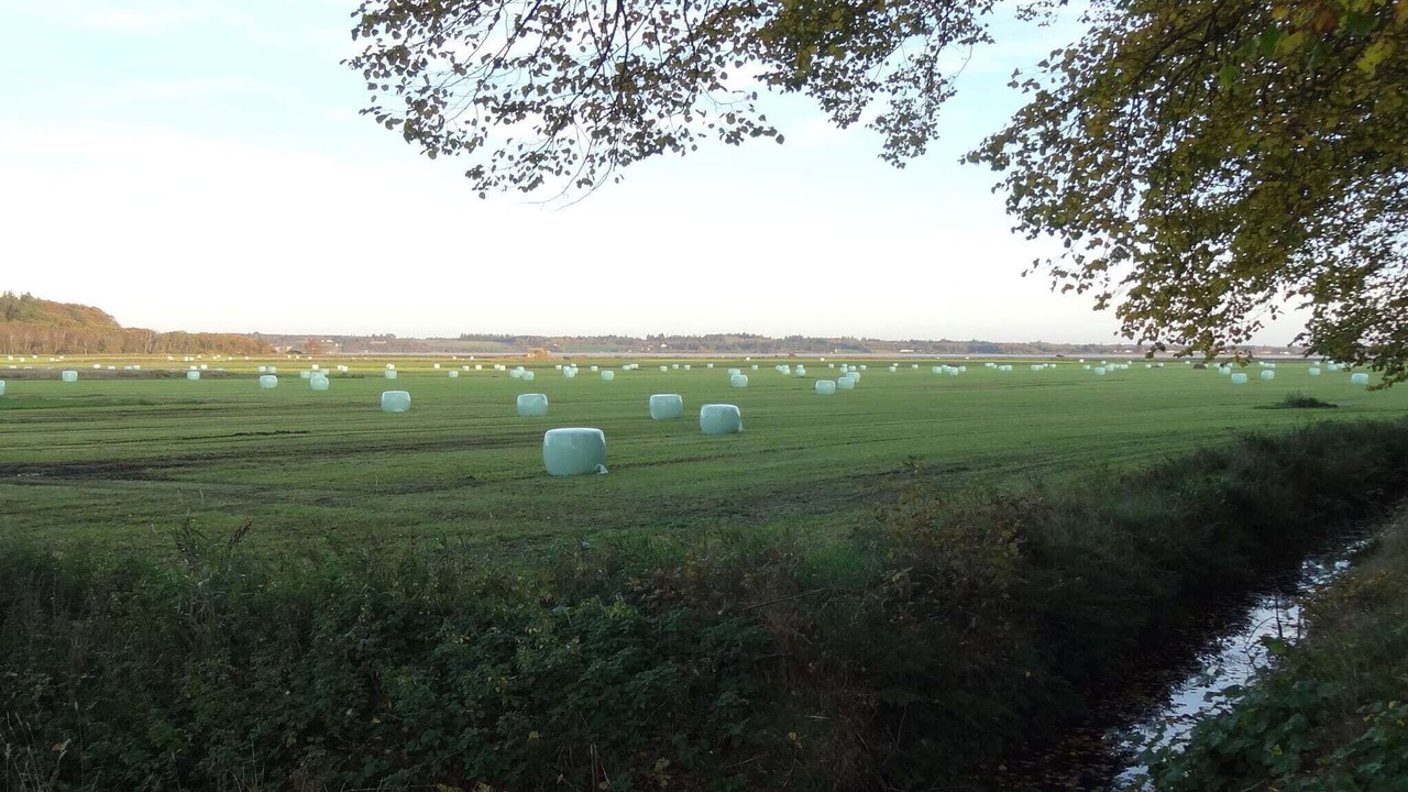 Photo of Others in Ronbjerg