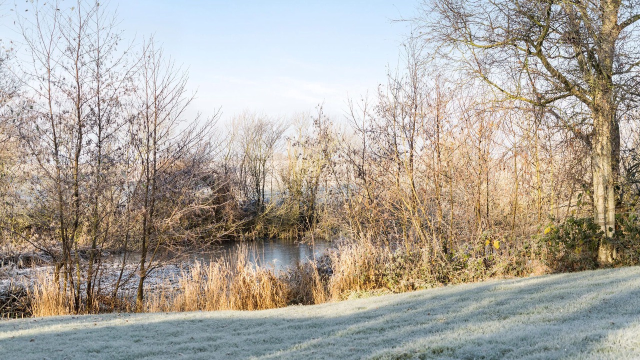 Photo of Bedroom in Redsted