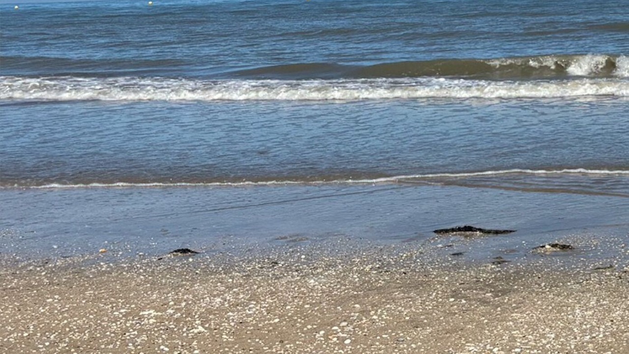 Photo of Others in Deauville