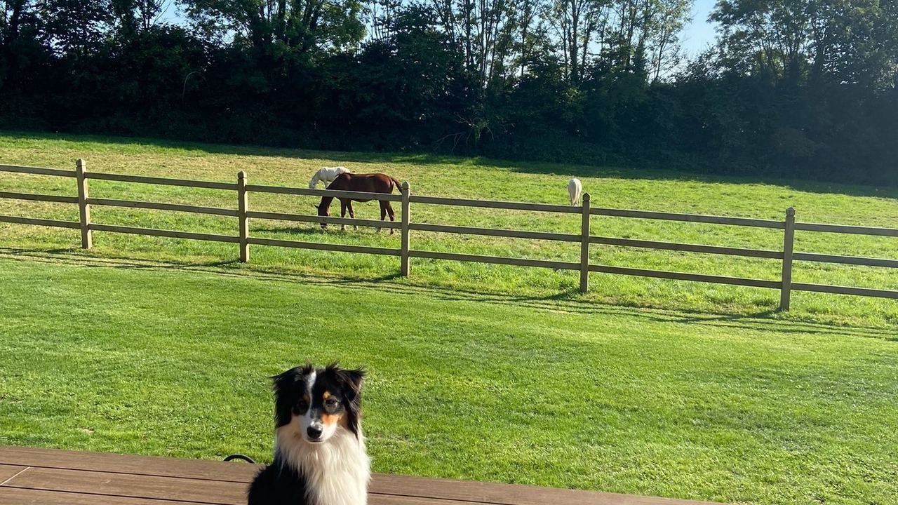 Photo of Outdoor in Annebault