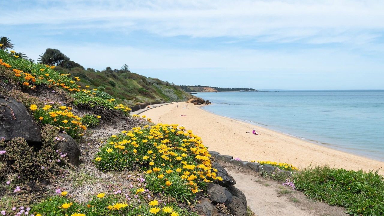 Photo of Others in Sandringham