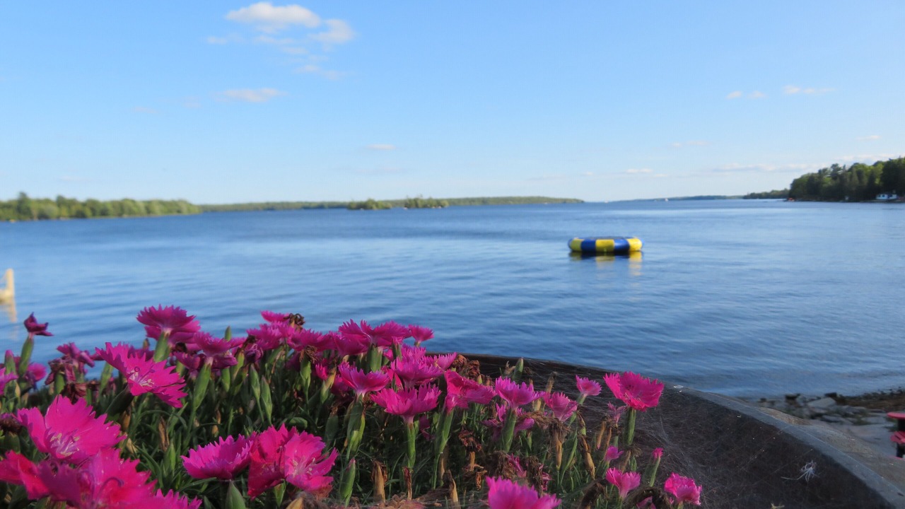 Photo of Others in Bobcaygeon