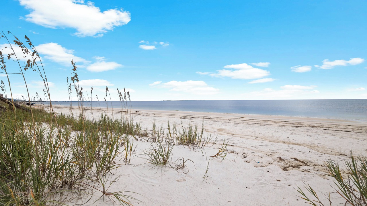 Photo of Others in Mexico Beach