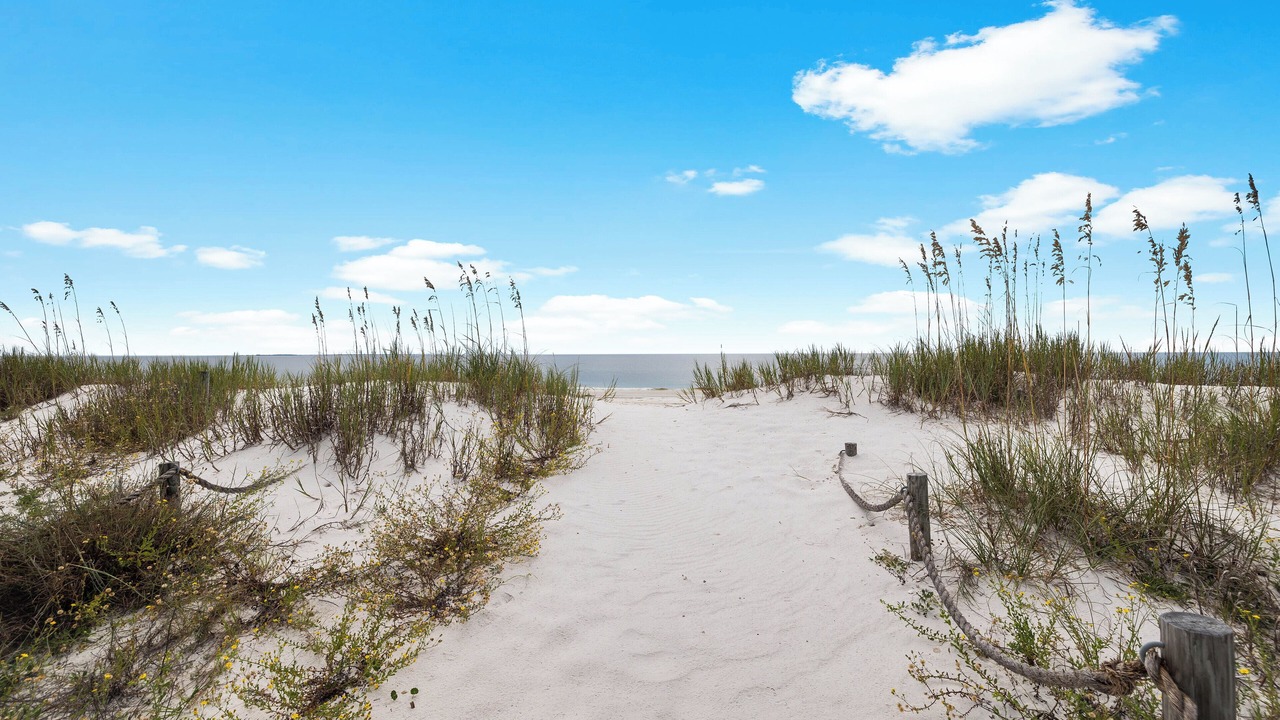 Photo of Others in Mexico Beach