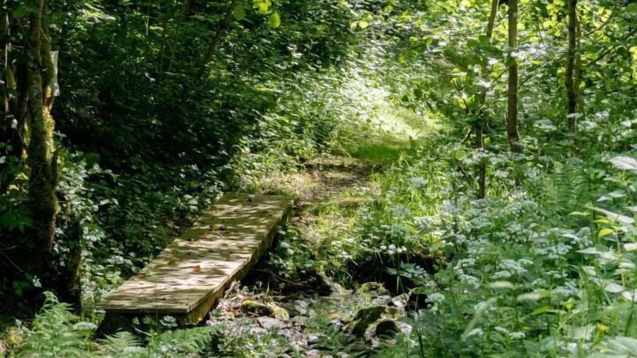 Photo of Outdoor in Larodde