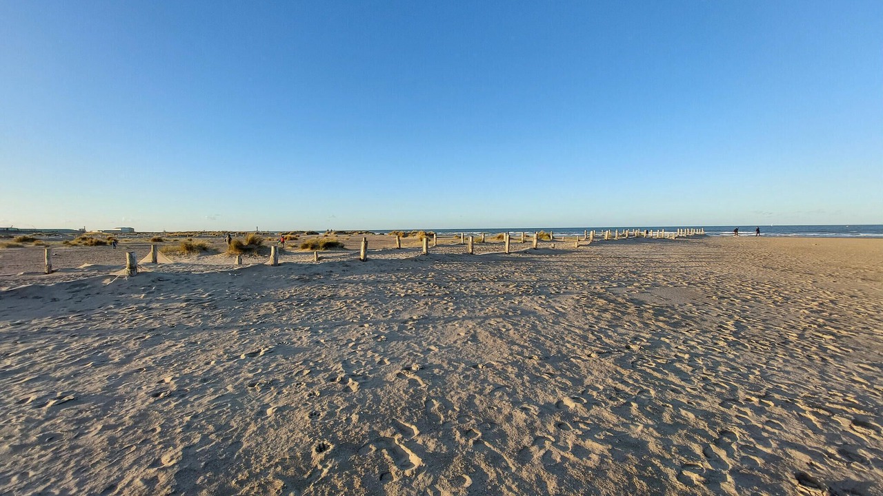 Photo of Others in Saint-Omer