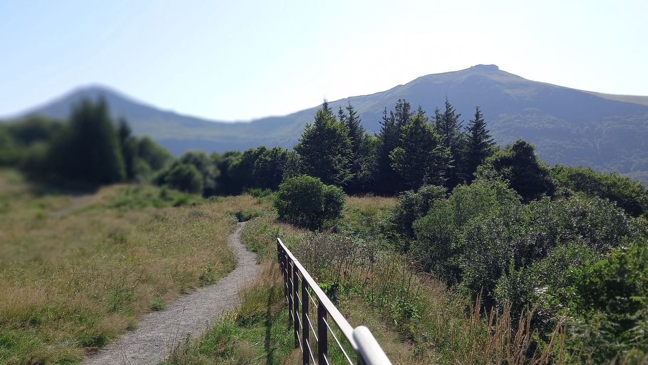 Photo of Others in Sainte-Eulalie