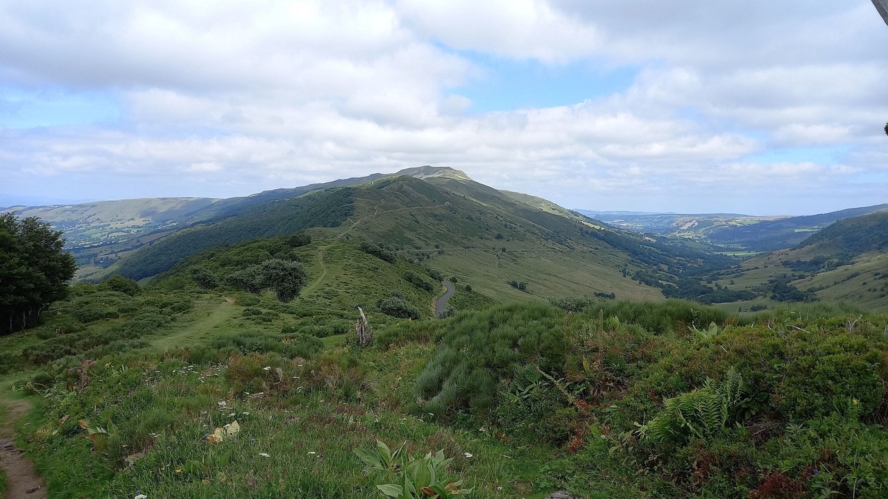 Photo of Others in Sainte-Eulalie