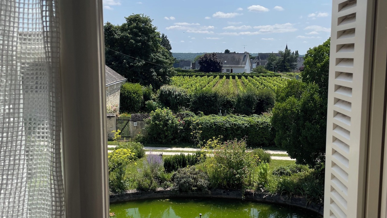 Photo of Others in Ingrandes-de-Touraine