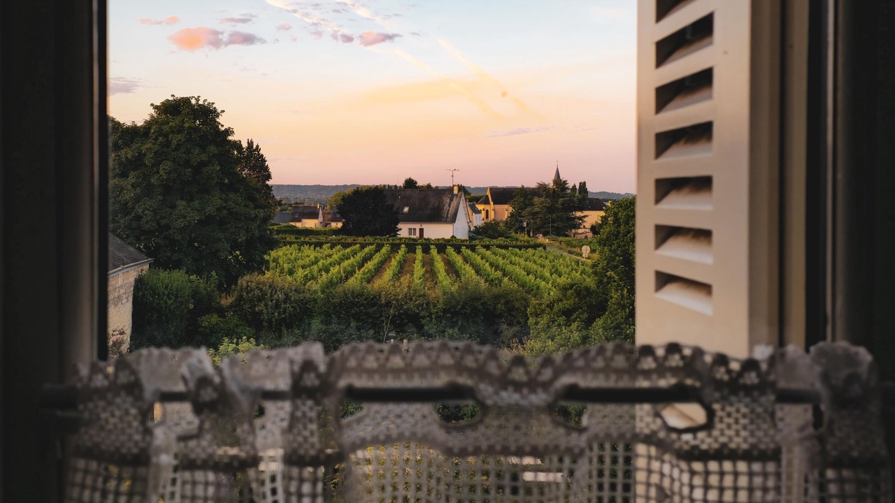 Photo of Others in Ingrandes-de-Touraine