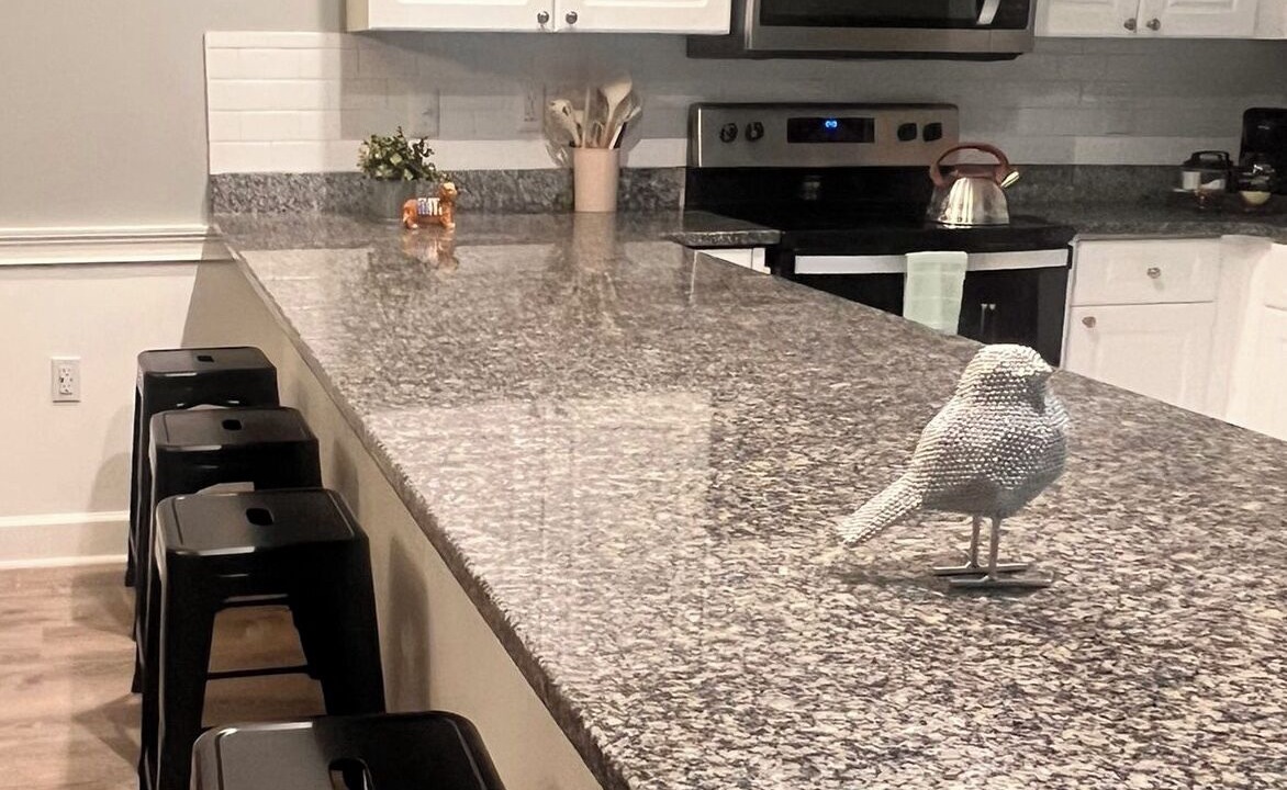 Photo of Kitchen in Charlotte