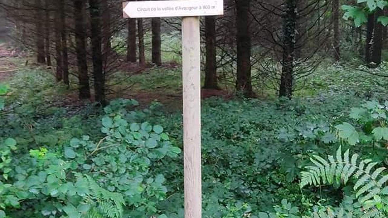 Photo of Others in Ploumagoar