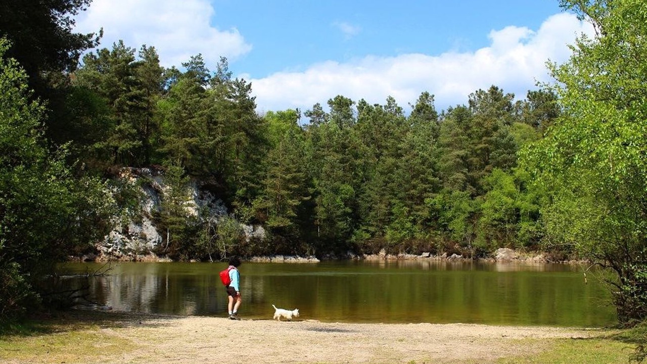 Photo of Others in Ploumagoar