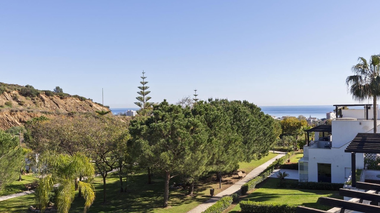Photo of Others in Marbella