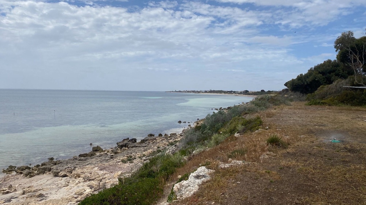 Photo of Others in Para Wurlie