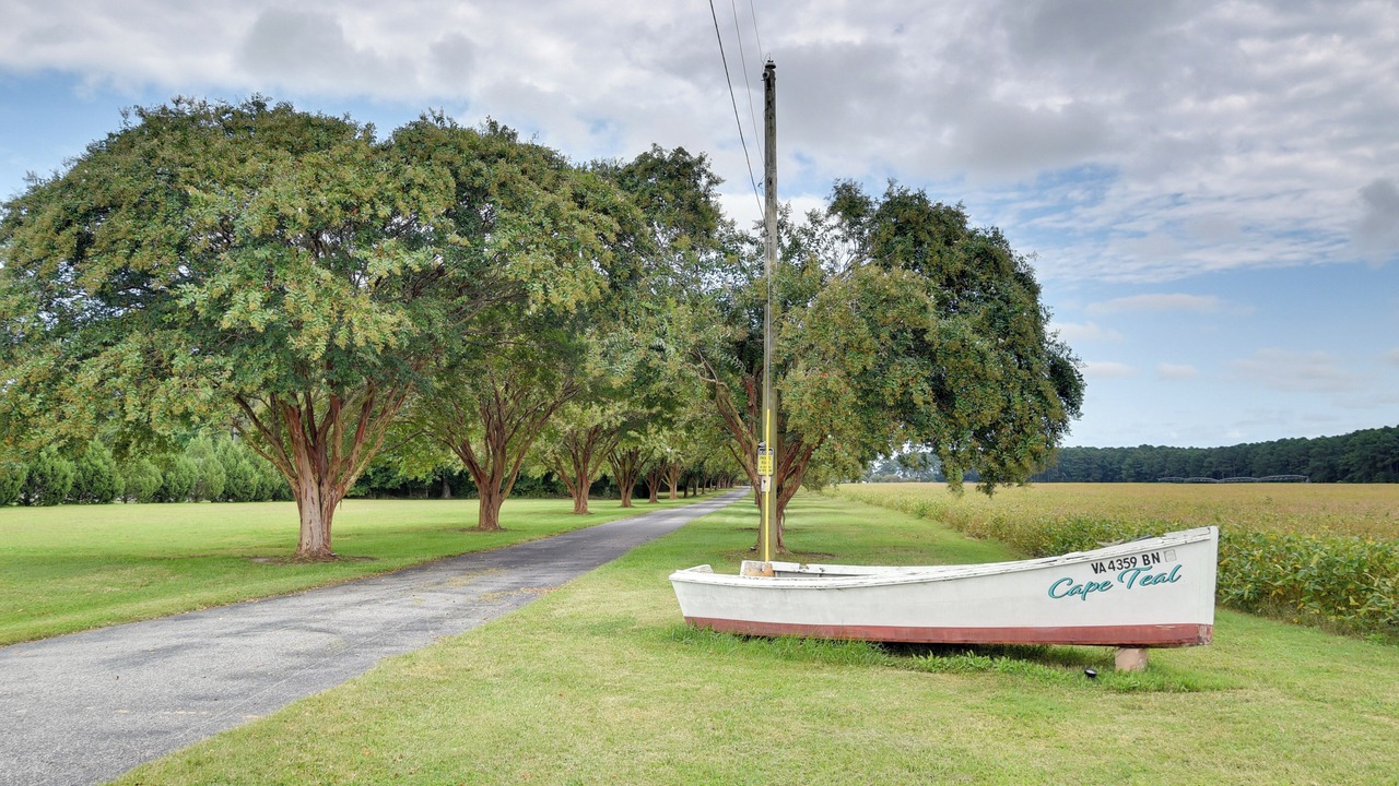 Photo of Others in Cape Charles