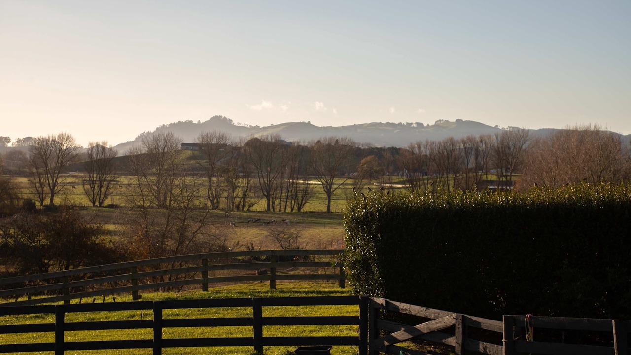 Photo of Others in Cambridge