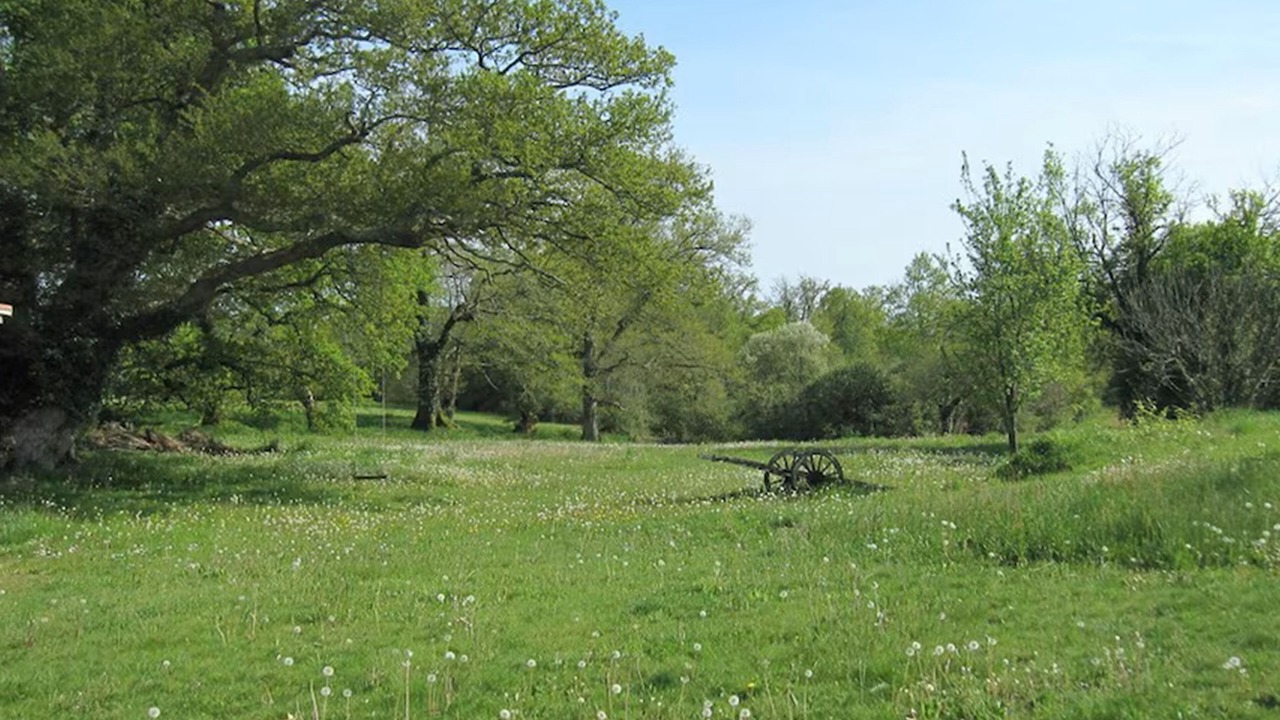 Photo of Others in Perchede