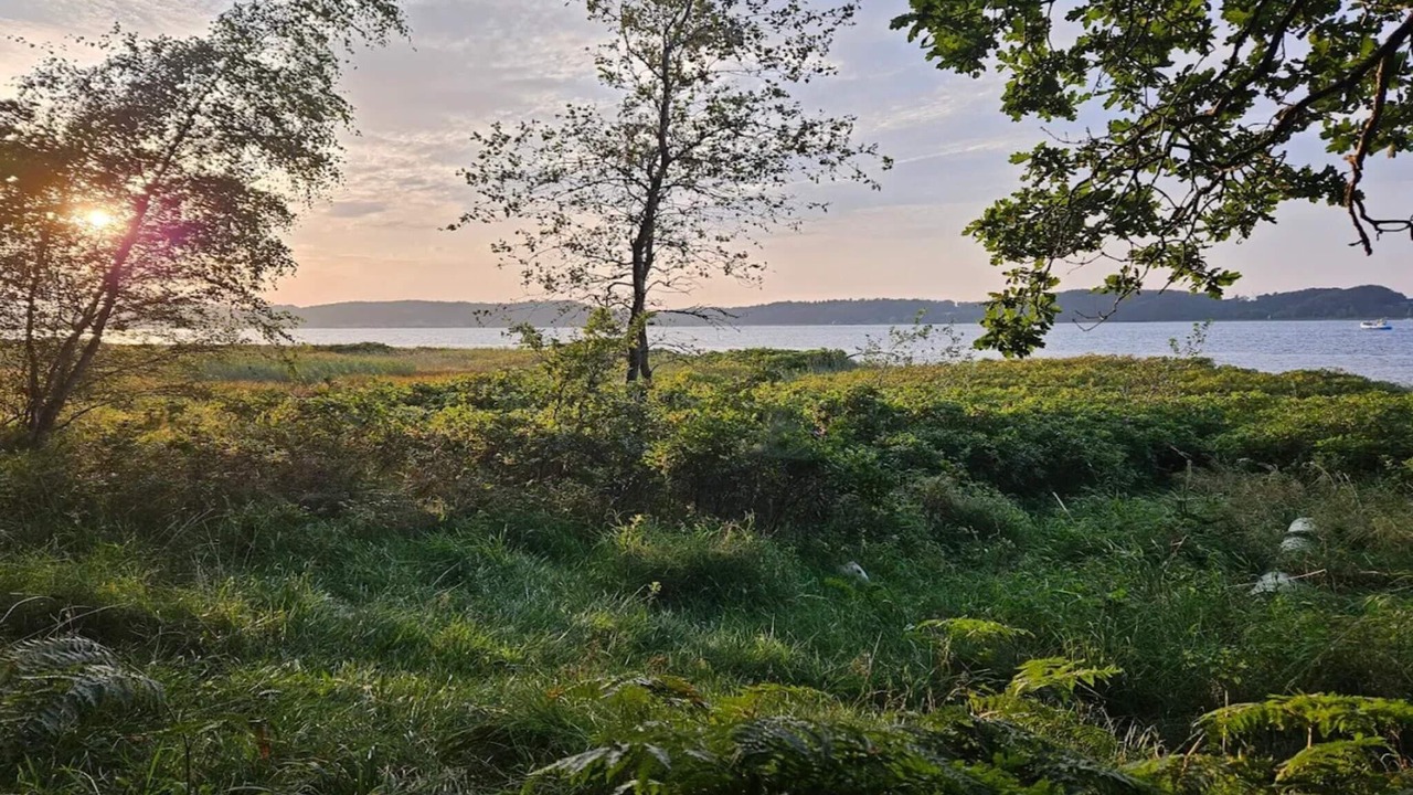 Photo of Others in Middelfart