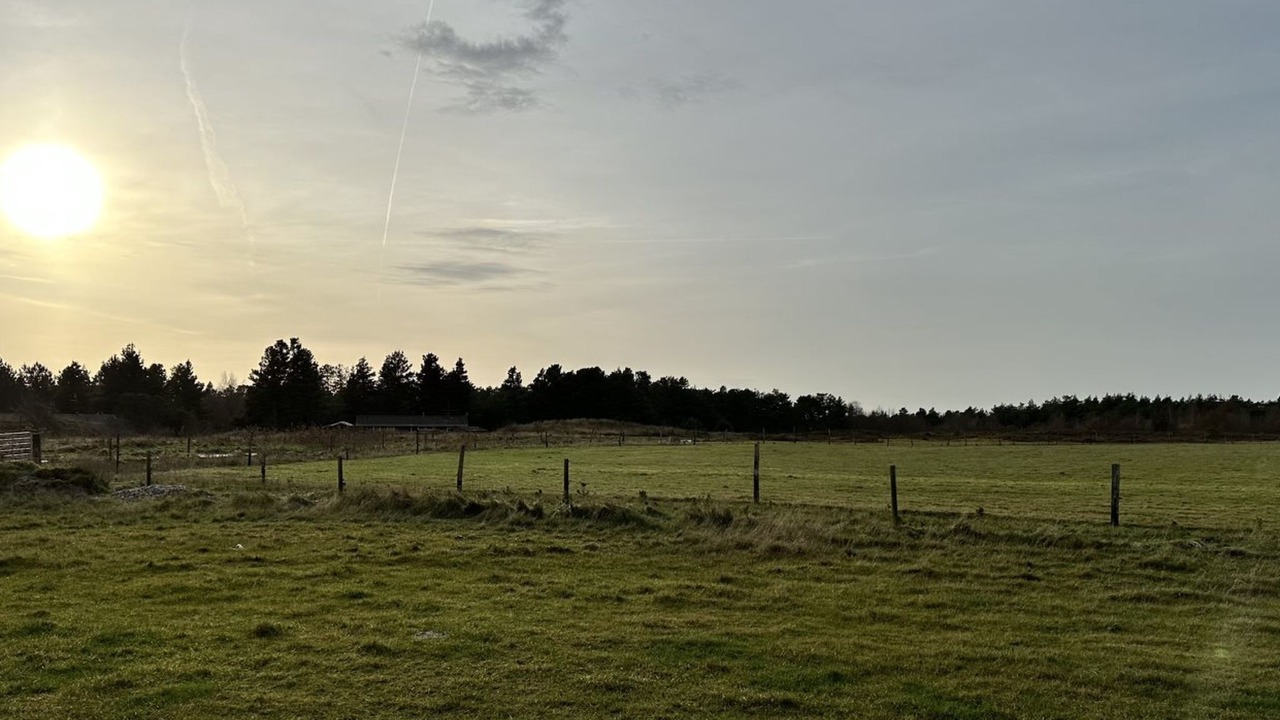 Photo of Others in Rømø Kirkeby