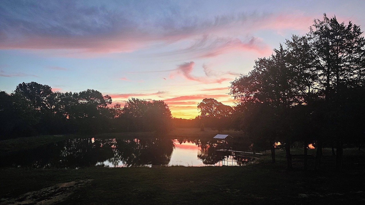 Photo of Others in Canton