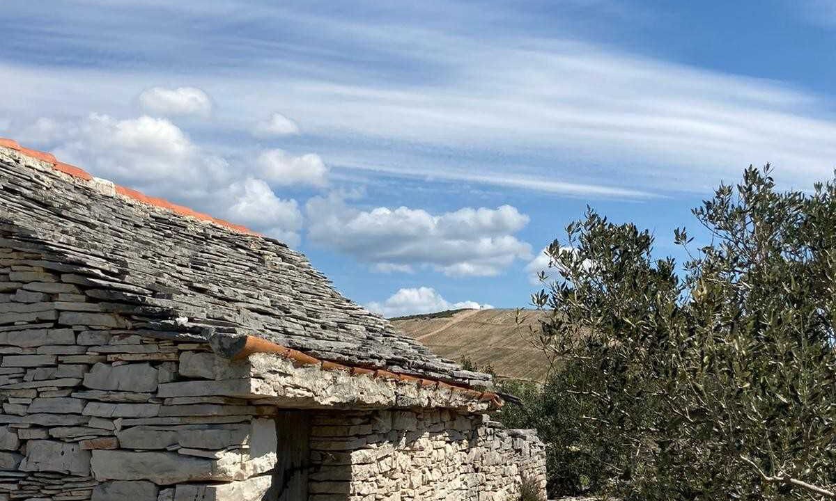 Photo of Outdoor in Donje Selo