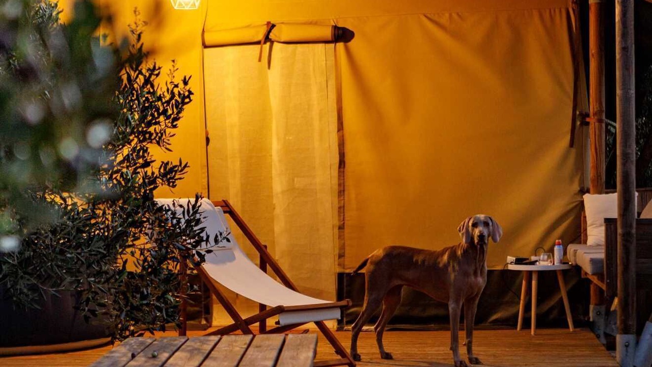 Photo of Patio Balcony in Donje Selo