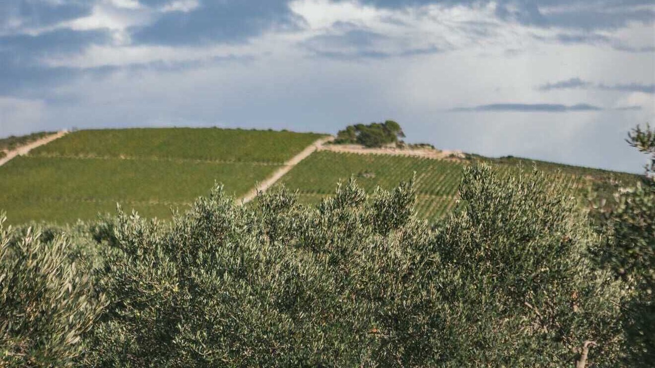 Photo of Outdoor in Donje Selo