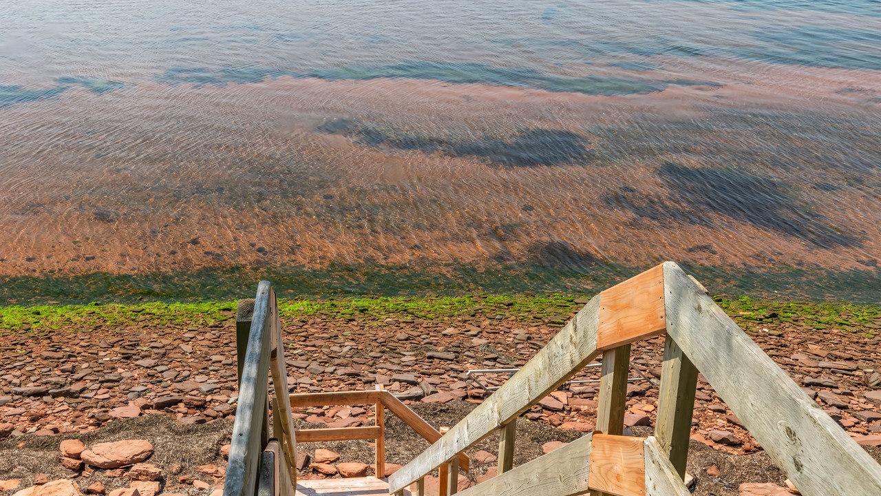Photo of Others in Bayview