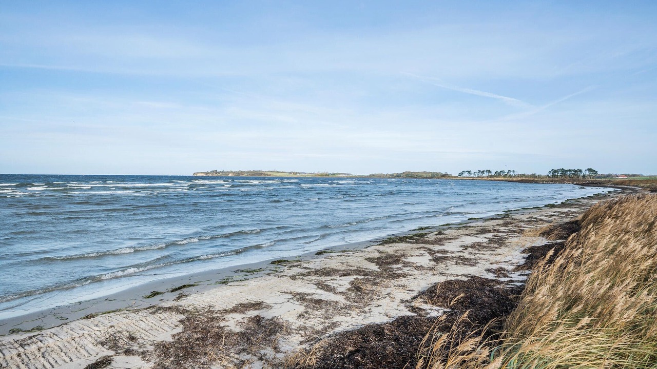 Photo of Others in Mesinge