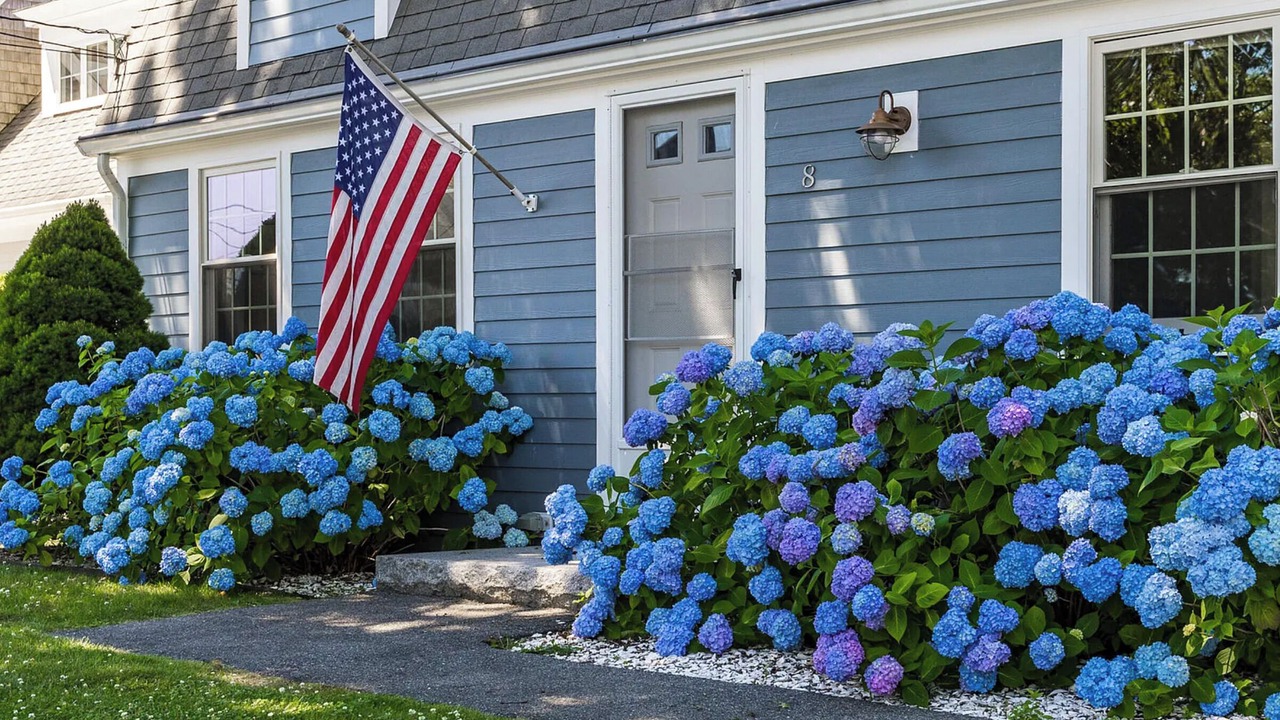 Photo of Outdoor in Falmouth Heights