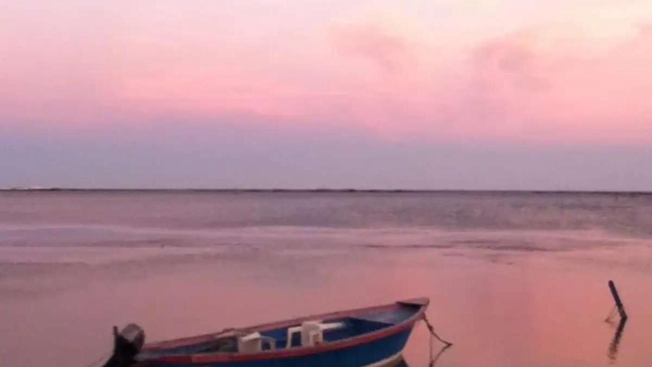 Photo of Others in Whitstable