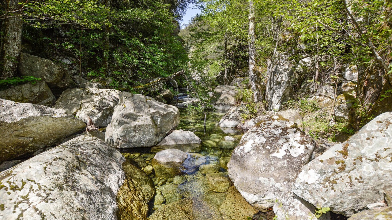 Photo of Others in Ciamannacce