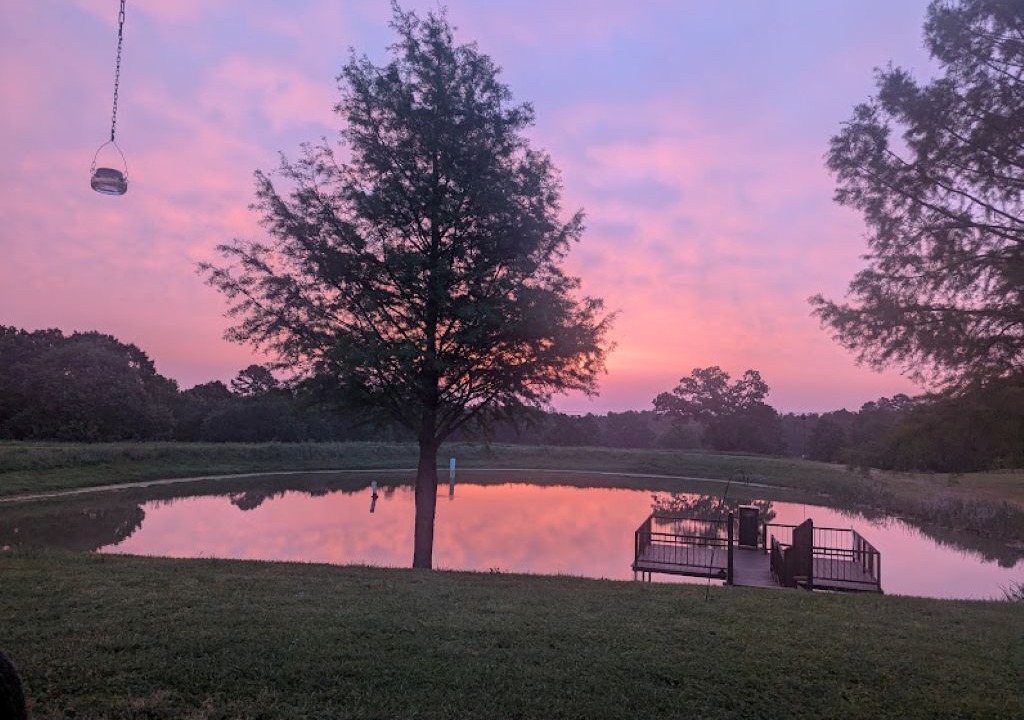 Photo of Outdoor in Anderson County