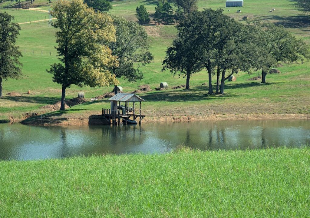 Photo of Others in Anderson County