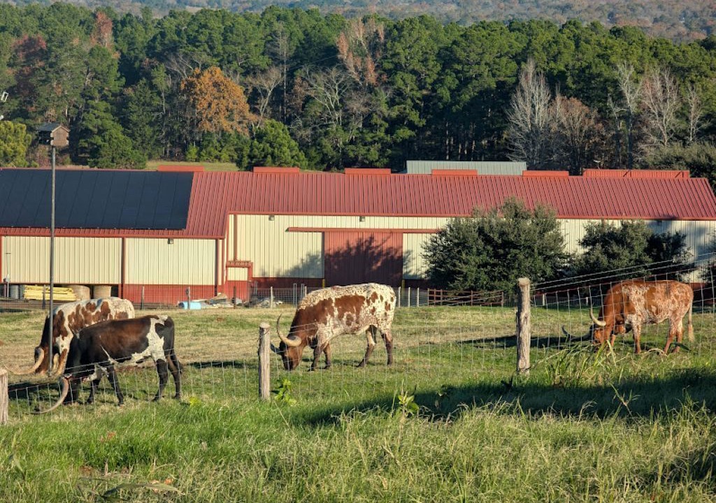 Photo of Others in Anderson County