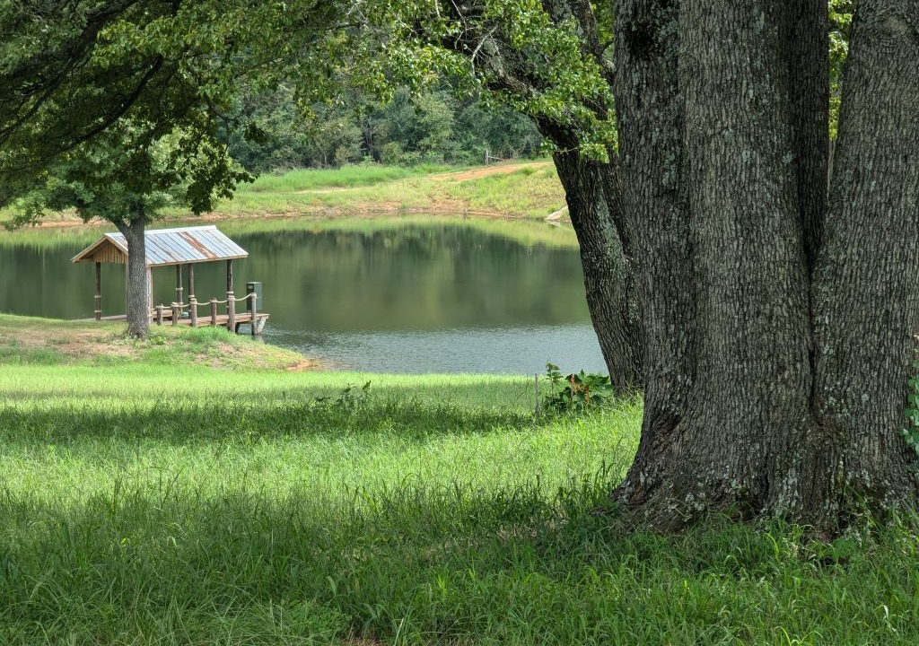 Photo of Outdoor in Anderson County