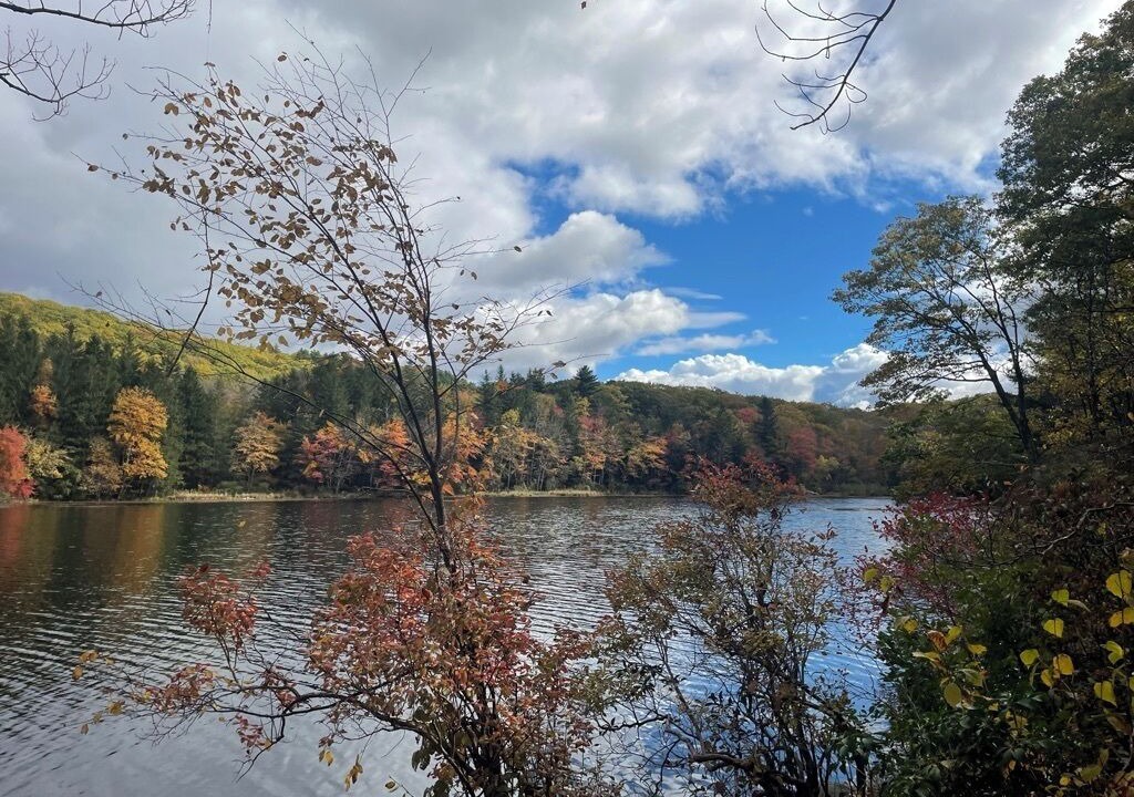 Photo of Others in Great Barrington
