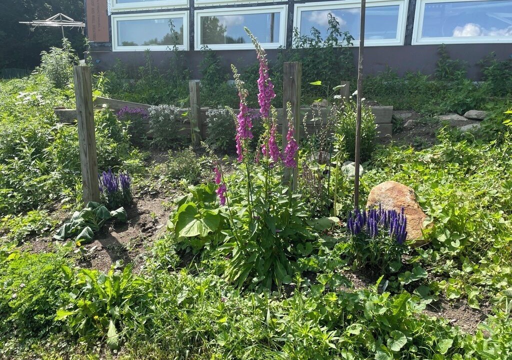 Photo of Outdoor in Great Barrington